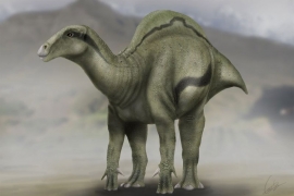 Pronađeni ostaci dinosaurusa uginulih u vrijeme udara asteroida