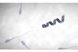 Uspješno testirani roboti za navođenje spermatozoida