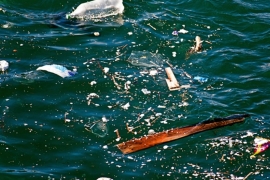 U morima će do 2050. biti više plastike nego ribe