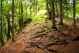 10 zanimljivih činjenica o BiH koje niste znali (FOTO)