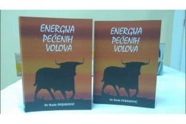 Održana promocija knjige "Energija pečenih volova"