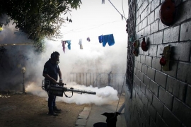 Zika virus se nezaustavljivo širi, može da izazove oštećenja vida i ...