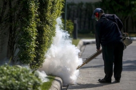 Panika u Riju: Otkazuju put na Olimpijadu zbog Zika virusa