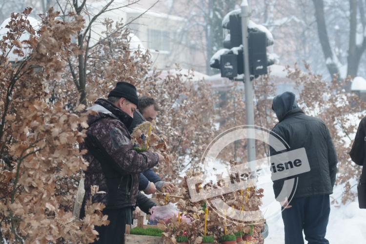 Velika ponuda badnjaka u Banjaluci