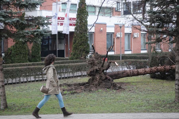 Banjaluka: Otklonjena većina kvarova na mreži, naselja dobila struju