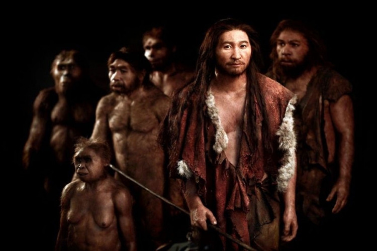 Hvala neandertalcima: Miješanje ljudskih vrsta razvilo imuni sistem