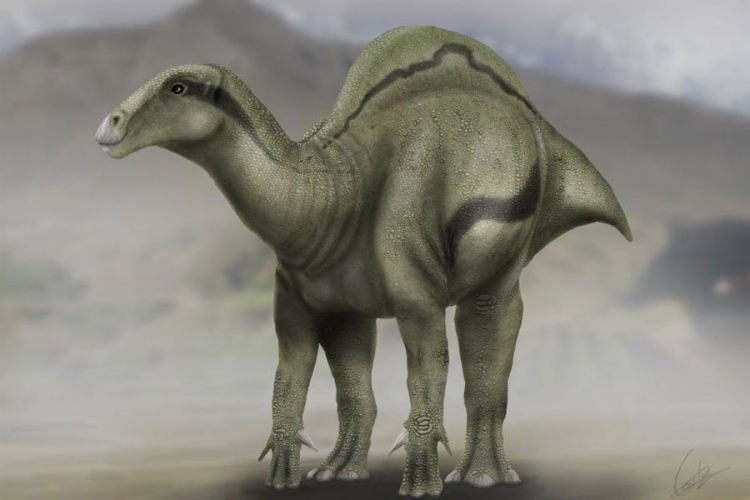 Pronađeni ostaci dinosaurusa uginulih u vrijeme udara asteroida