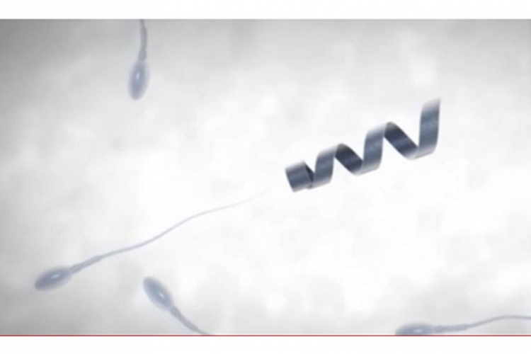 Uspješno testirani roboti za navođenje spermatozoida
