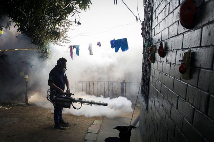 Zika virus se nezaustavljivo širi, može da izazove oštećenja vida i sluha