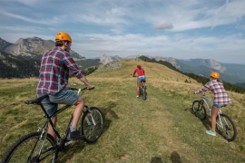 Pogledajte novi spot o ljepotama parka Sutjeska (VIDEO)