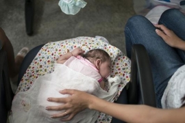 SAD: Na Floridi vanredno stanje zbog zika virusa
