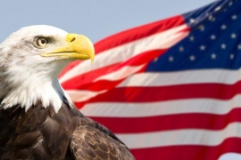 Evo zašto se američki bjeloglavi orao prikazuje samo u profilu (FOTO)
