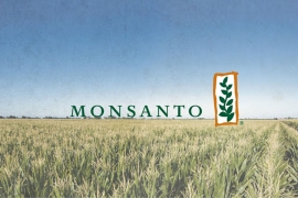 Monsanto plaća 80 miliona dolara da izbjegne kazne


