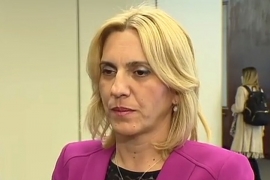 Cvijanović: Crnadak trebao tražiti stav institucija Srpske