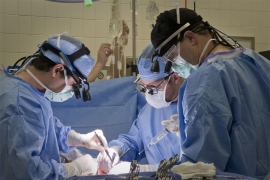 Kod transplantacije predrasude i neznanje veći problem od zakona: 1 ...