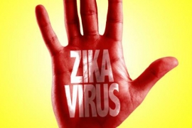 Četrnaest slučajeva mogućeg prenosa virusa zika seksualnim putem
