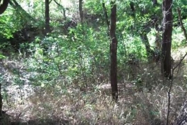 Pronađite specijalca koji vas drži na nišanu (VIDEO)