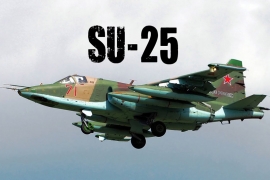 U padu vojnog aviona poginuo pilot
