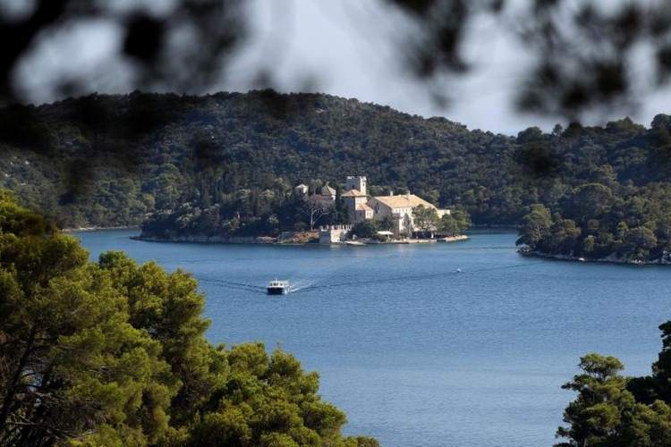 Doktorica pismom poziva kolege na rad na ostrvu Babino Polje