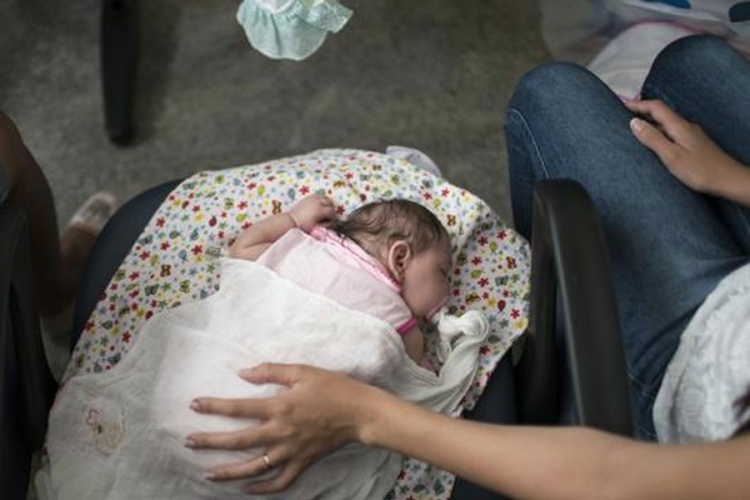 SAD: Na Floridi vanredno stanje zbog zika virusa