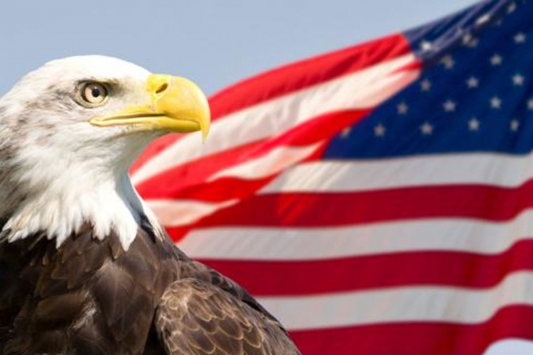 Evo zašto se američki bjeloglavi orao prikazuje samo u profilu (FOTO)