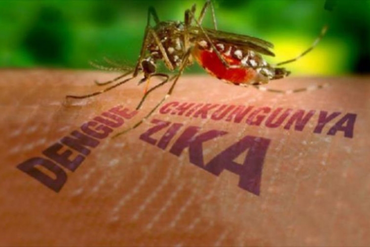 Venecuela: Troje umrlo od komplikacija koje izaziva virus zika