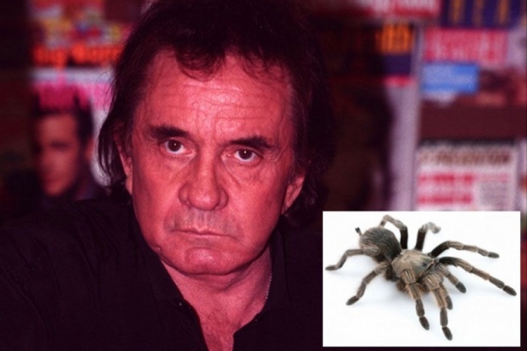 Nova vrsta tarantule nazvana po Džoniju Kešu