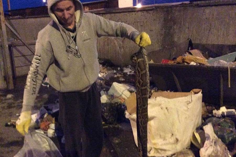 U Pančevu u kontejneru pronađen piton
