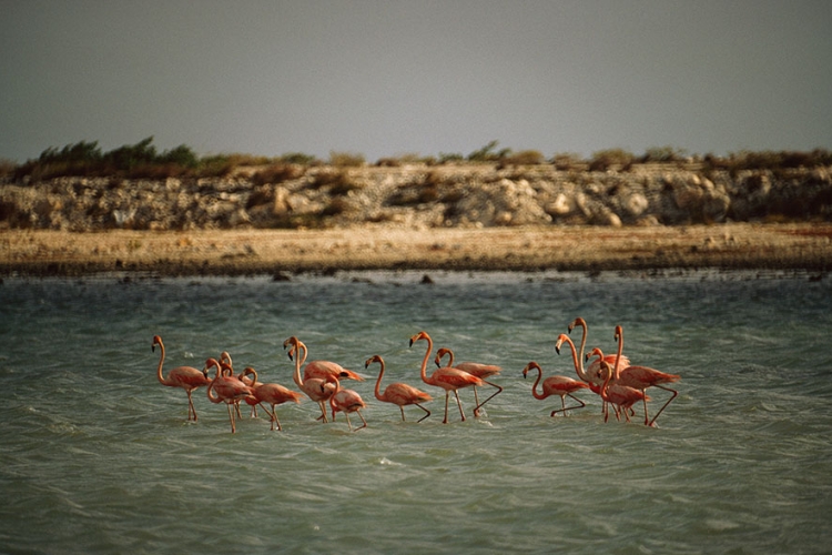 Pogledajte fotografije iz arhive National Geographica koje nikad prije nisu objavljene (FOTO)
