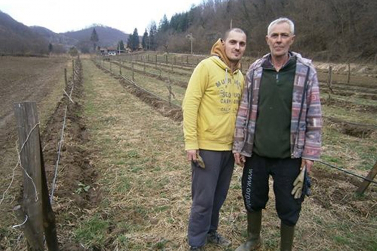 Otac i sin Suad i Nermin Eškić beru maline pune profita