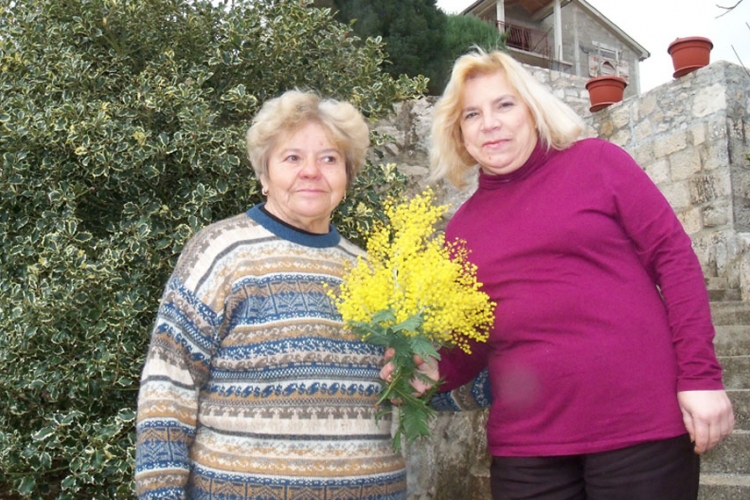 Slavojka Mileusnić iz Trebinja: Uzgojila najveće stablo mimoze (FOTO) 