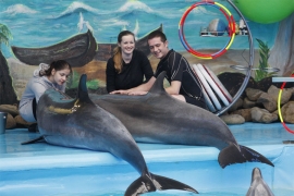Vojnici u Ukrajini liječe se uz pomoć delfina (FOTO)