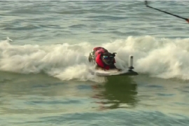 Jedinstveni festival: Psi surferi (VIDEO)