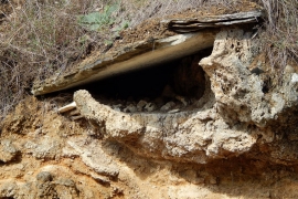 Kosti i dalje ispadaju iz otvorene grobnice u Čifluku (FOTO)