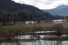 Drina se na pojedinim dijelovima izlila, ali ne ugrožava domaćinstva
