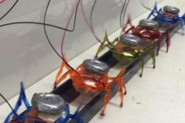 MicroTugs: Minijaturni roboti koji mogu da pokrenu automobil (VIDEO)