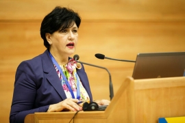 Borovac: Priliv novca iz dijaspore tri milijarde KM godišnje
