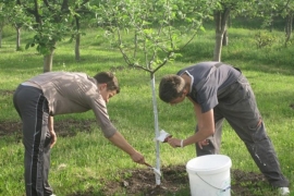 Toplo vrijeme pokrenulo vegetaciju prerano