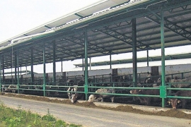 Projekat "Farma 2" vrijedan 16,5 miliona dolara