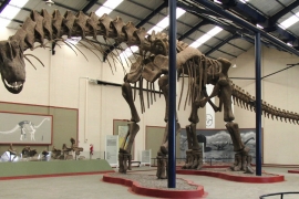 Rekonstruisani koraci dinosaurusa