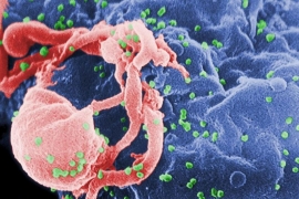 Drevni virus vijekovima spava u nama i mogao bi da se  probudi