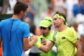 Ferer: Ili Novak da padne, ili mi da se podignemo