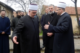 BiH se ne bavi pitanjem paradžemata