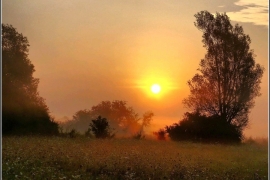 U BiH danas sunčano i još toplije