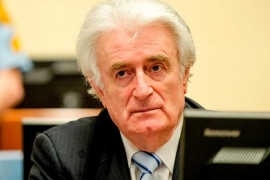 Hag: Karadžić traži statusnu konferenciju


