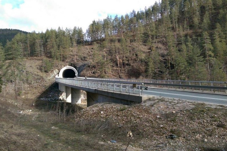 Bespilotne letjelice u potrazi za tijelom Arnele Đogić