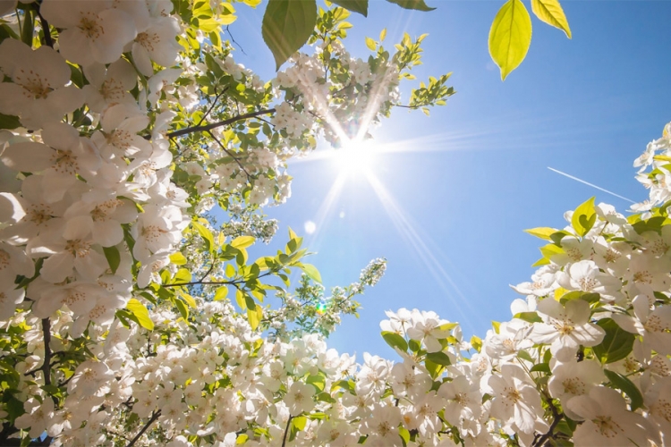 Naredna tri dan sunčano i temperatura do 18 stepeni