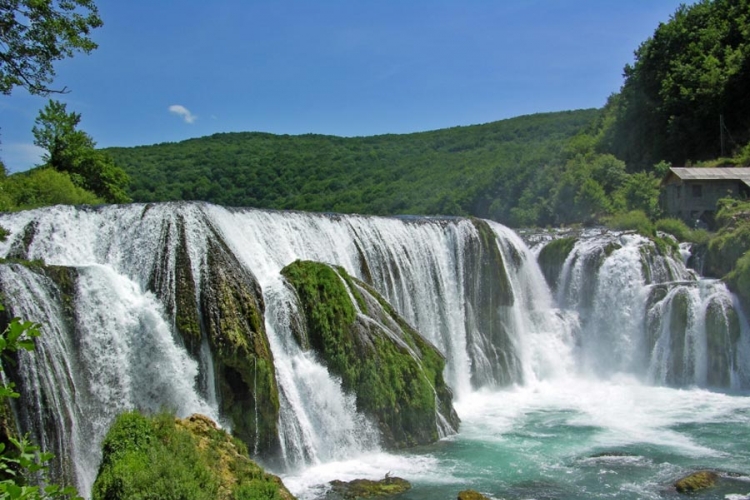 Obilježavanje Svjetskog dana vode
