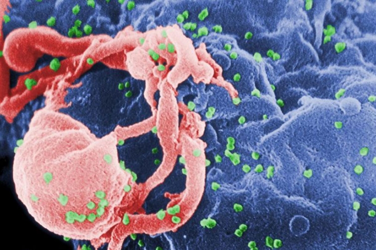 Drevni virus vijekovima spava u nama i mogao bi da se  probudi