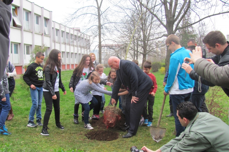 Banjaluka: Sadnjom drveta počelo proljećno uređenje 